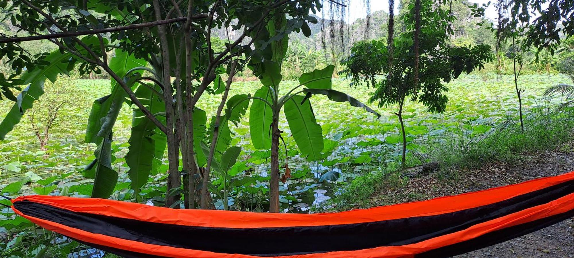 Thung Sen Tam Coc Chalets Ninh Bình Kültér fotó